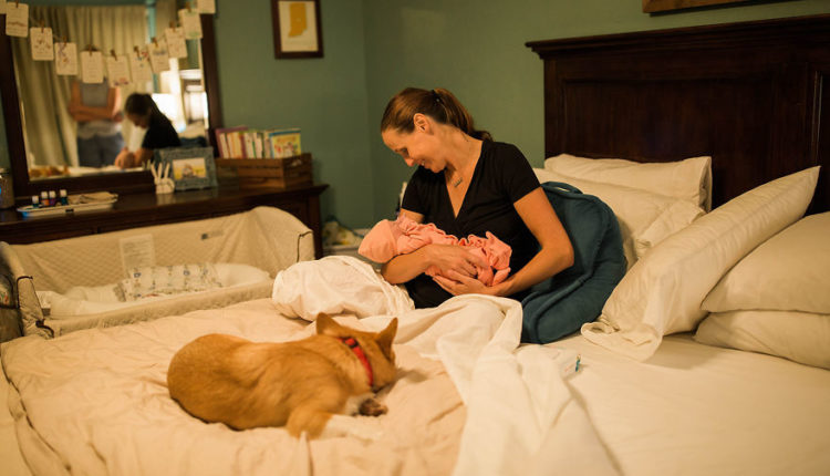 1X0A0713-5b3ea6b92dc5b__880