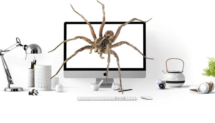 araña vive dentro de una computadora / @Pexels, GoDaddy