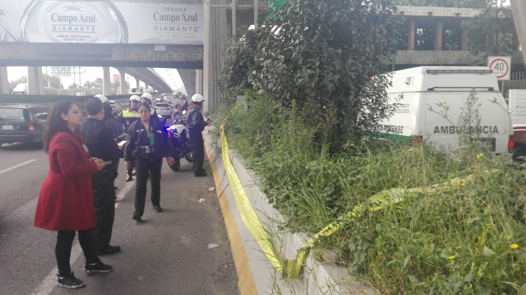 Provocan tráfico en Periférico por tomar fotos a plantas de Marihuana. Noticias en tiempo real