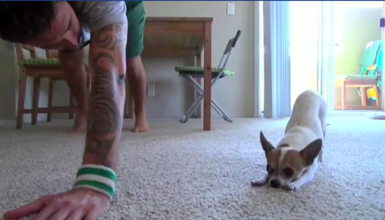 perro hace Yoga con su dueño