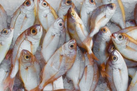 #Asco: Engañan a la gente para hacerles creer que compran pescado fresco