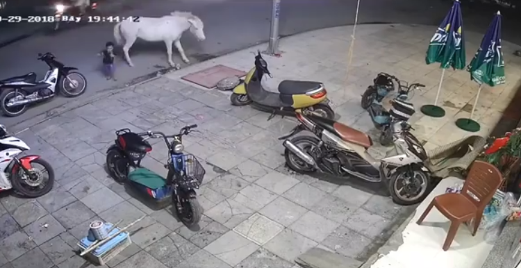 caballo patea a bebé/ Fuente: Facebook Preimpresos morelenses