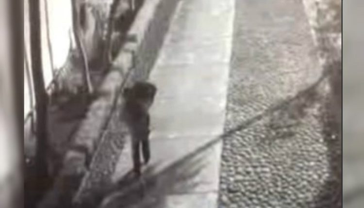 niña maleta tlatelolco video