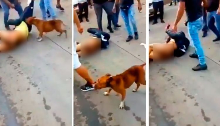 brutal golpiza a ladrón