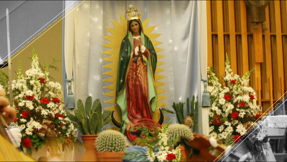 La oración a la Virgen de Guadalupe que pide el Papa Francisco. Noticias en tiempo real