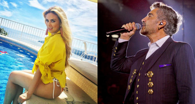 Aracely Arámbula fue al concierto de Alejandro Fernández