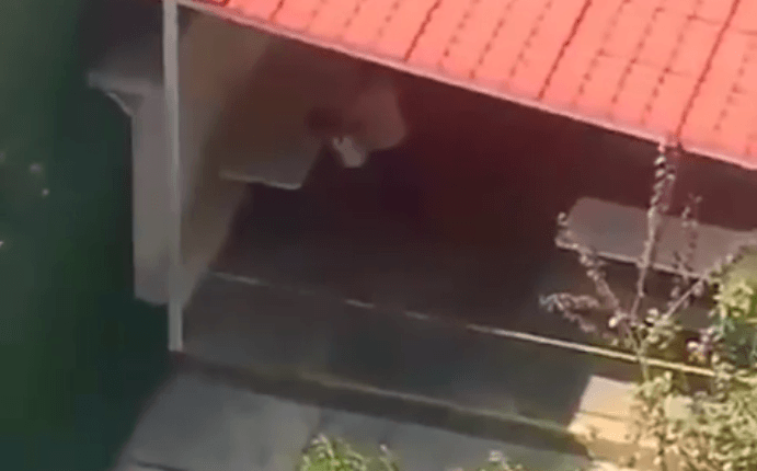 mujer ahorca a niño en escuela cdmx