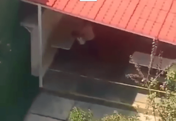 mujer ahorca a niño en escuela cdmx