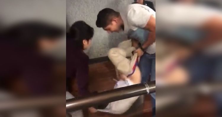 ladrón de celulares metro