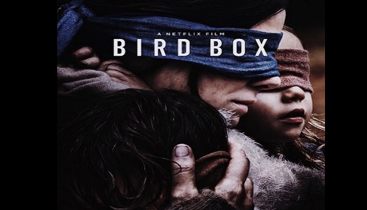 bird box