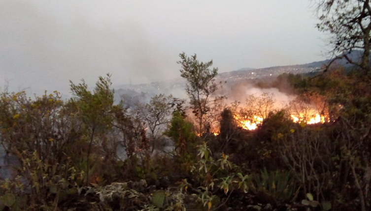 Día de incendios en la CDMX, en Tlalpan y GAM. Noticias en tiempo real