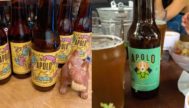 ‘Apolo’ la cerveza que apoya a los perros callejeros. Noticias en tiempo real