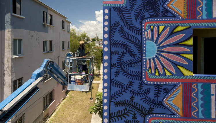 magen proporcionada por Hemoeco y Proyecto Panorama.