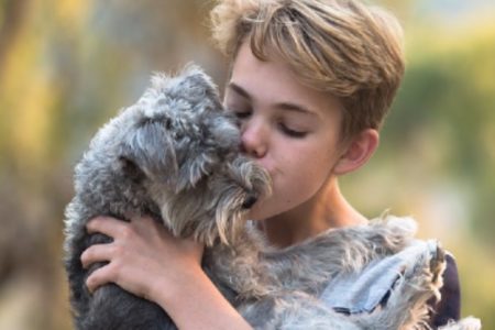 Tener una mascota podría ayudar a tu cerebro