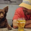 cerveza para perros