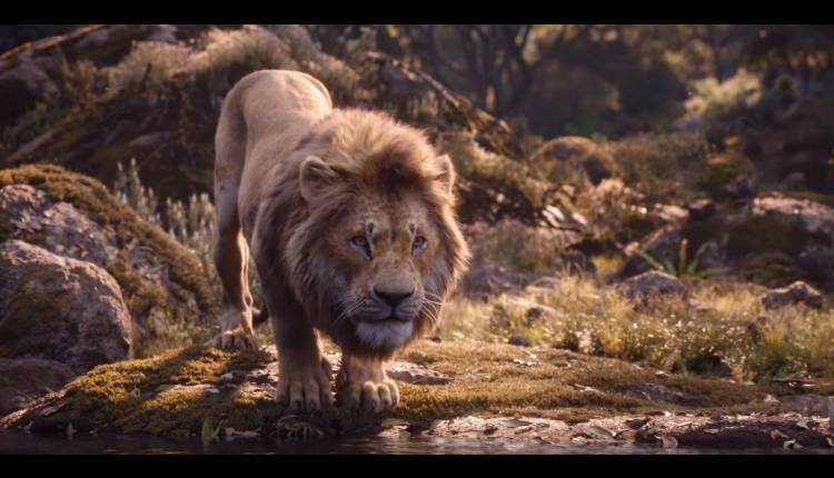 el rey león live action disney