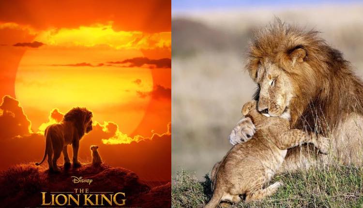 rey león samba mufasa vida real