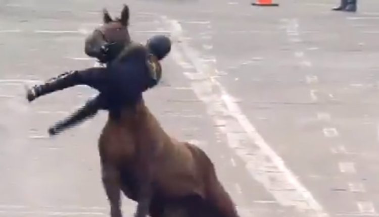 jinete desfile revolución