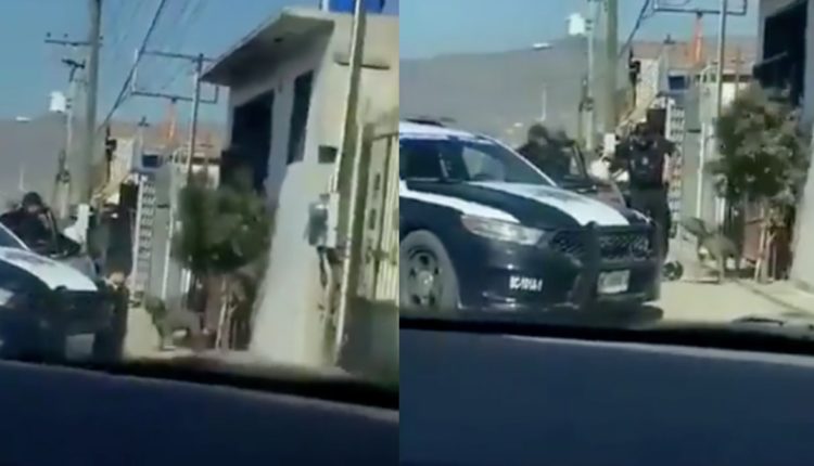 perro policias tijuana