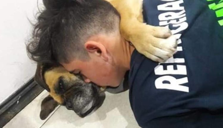 perra muere pirotecnia