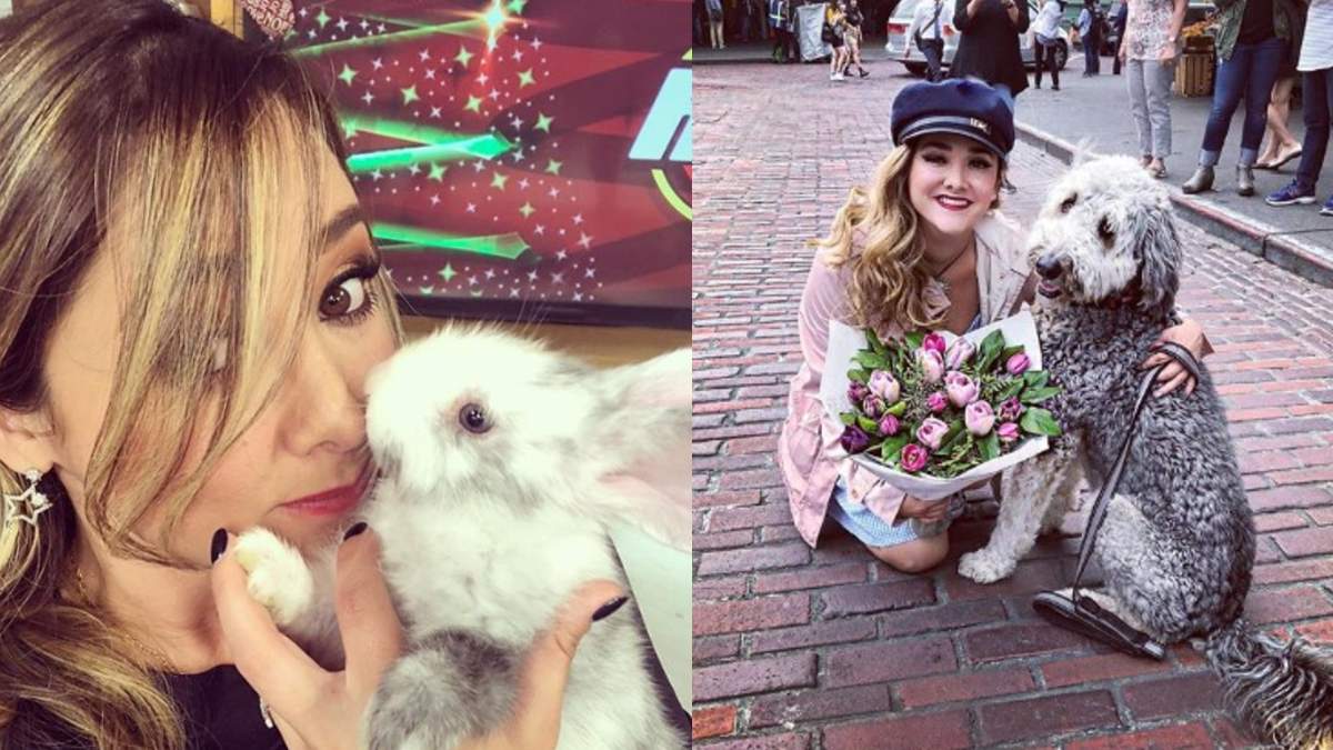 sherlyn maltrato animal denuncias