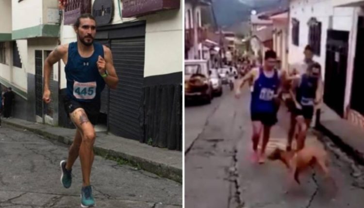 Jaime Alejandro perro