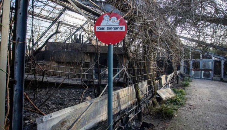 incendiio zoologico alemania