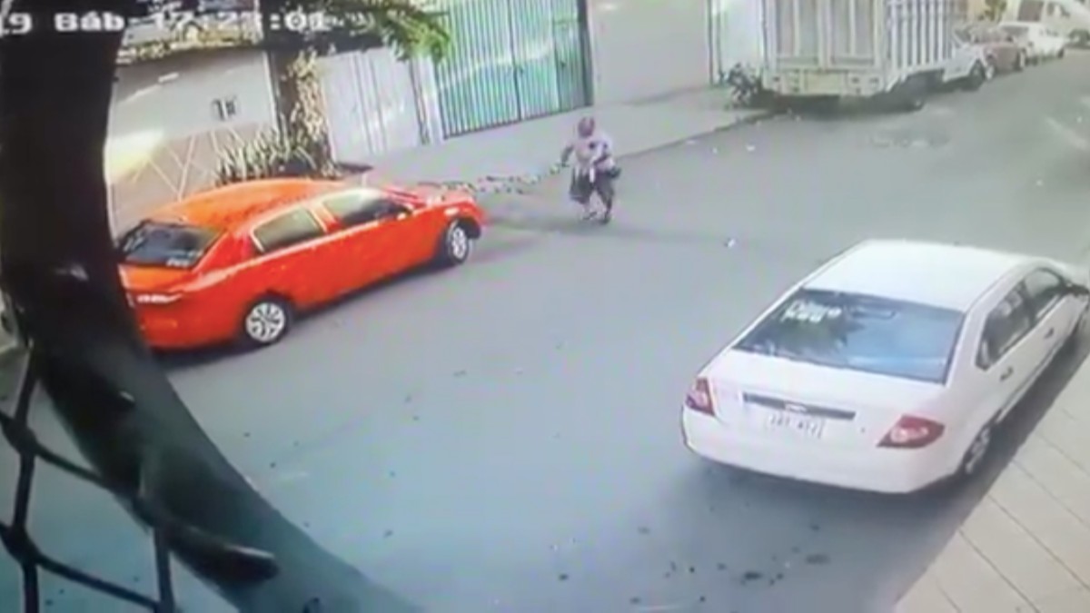 ¡Se roban otro perro! Un Pug en Nezahualcóyotl (Video). Noticias en tiempo real
