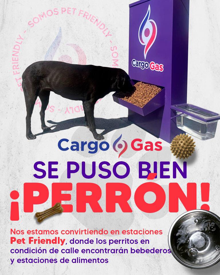 Una gasolinera de Coahuila le da de comer a los perros de la calle. Noticias en tiempo real
