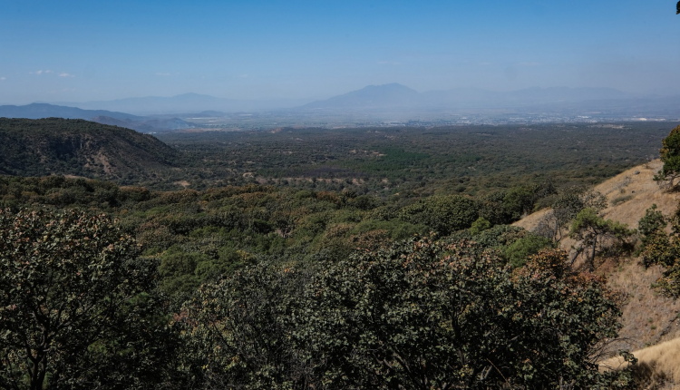 Viajes imperdibles con amigos y amigas