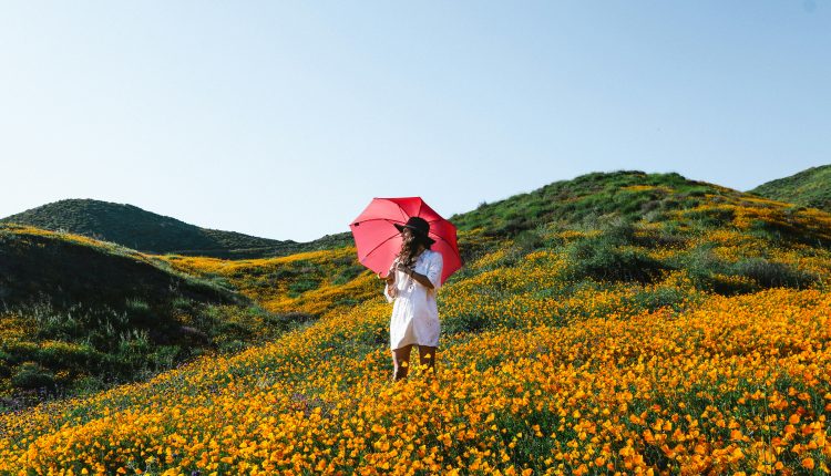 Nunca pierdas la esperanza